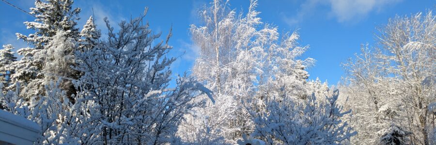 Ajankohtaisia tilaisuuksia
