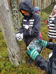 Lapset tutkivat puun runkoa metsässä Tikankolon luontokoulussa.