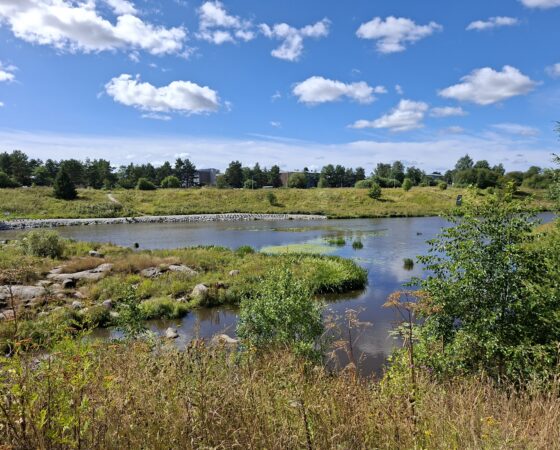 Aurajokisäätiön ympäristökasvatusmateriaaleja koulujen käyttöön