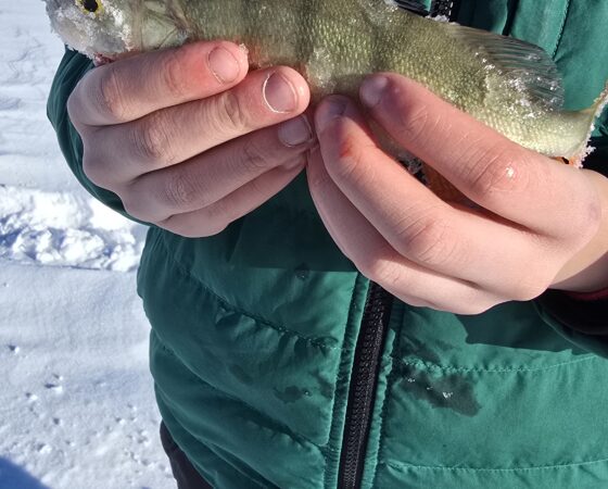 Pilkkipäivä Pyhäjärvellä