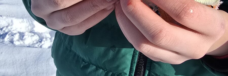 Pilkkipäivä Pyhäjärvellä