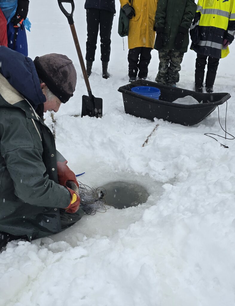 Koululainen pilkkimässä.