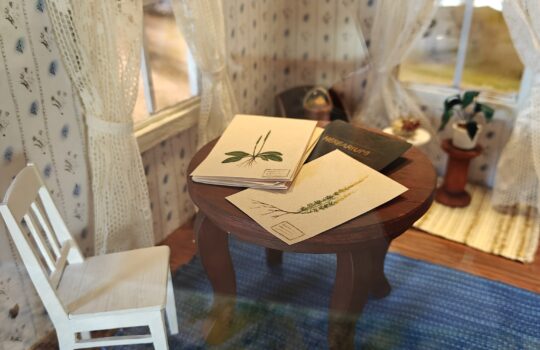 Perinnemaisemien kasvit kuiskailevat lapsille maiseman historiasta Sagalundissa