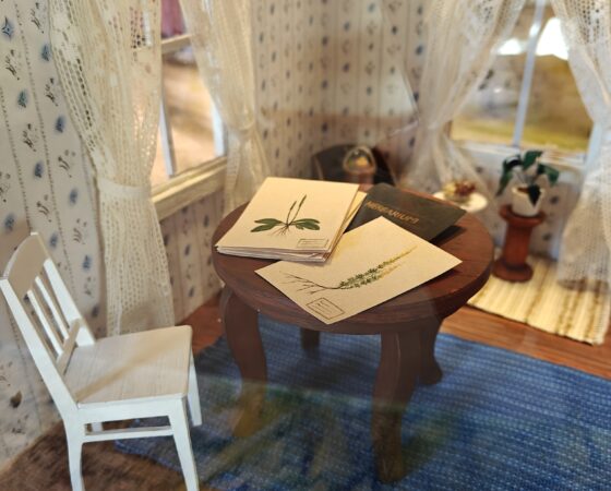 Perinnemaisemien kasvit kuiskailevat lapsille maiseman historiasta Sagalundissa