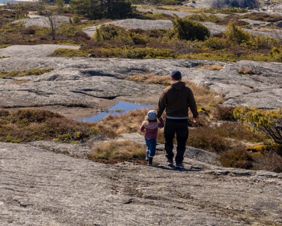 Webinaari: Upea meremme!/Vårt fantastiska hav! – Uusia ideoita Itämeren opetukseen, på svenska den 22 april, suomeksi 23.4.2026