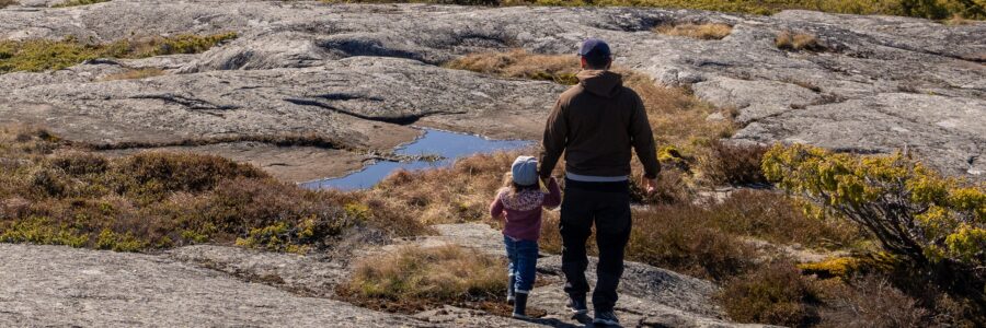 Webinaari: Upea meremme!/Vårt fantastiska hav! – Uusia ideoita Itämeren opetukseen, på svenska den 22 april, suomeksi 23.4.2026