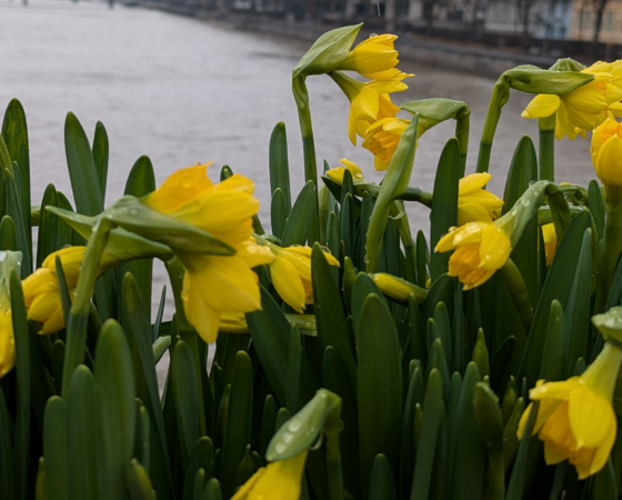 Kevään Kehrä julkaistu, Kehrä kerii Lounais-Suomen ympäristökasvatusuutiset yhteen