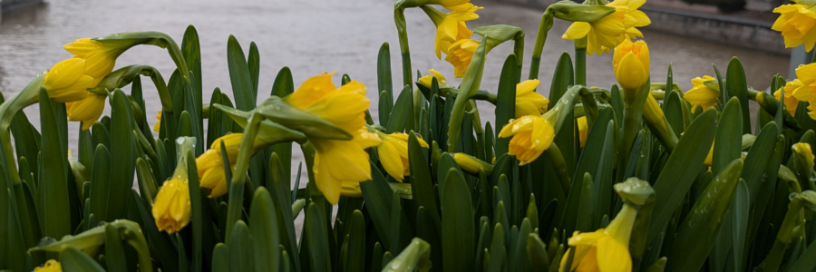 Kevään Kehrä julkaistu, Kehrä kerii Lounais-Suomen ympäristökasvatusuutiset yhteen