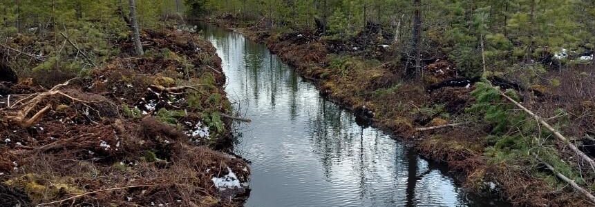 Ennallistamisen ja luonnonhoidon koulutuswebinaarit ja maastokoulutukset 2026, Tapio Oy