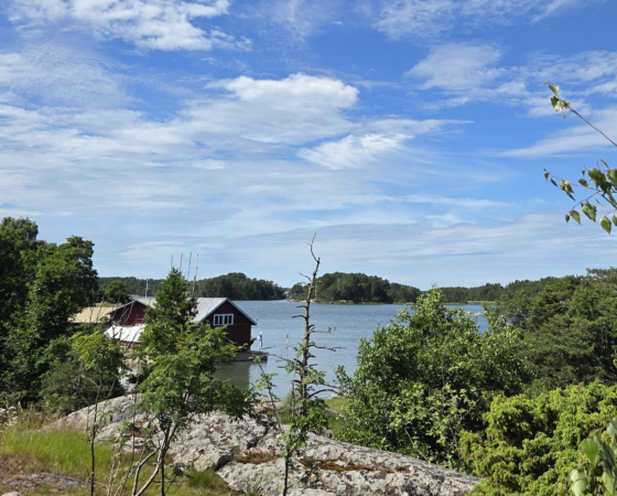 Ajankohtaisia tilaisuuksia