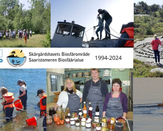 Unesco ger högt betyg åt Skärgårdshavets biosfärområde / Saaristomeren biosfäärialue arvostetaan korkealle