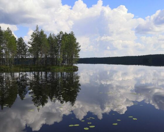 Valtion vesiteemaisia avustushakuja auki elinvoimakeskuksissa 15.9.–30.10.2026