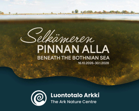 Selkämeren pinnan alla -näyttely Porissa 16.10.2026–30.1.2028